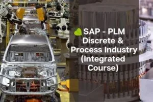 SAP PLM training