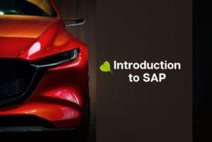 Introduction to SAP